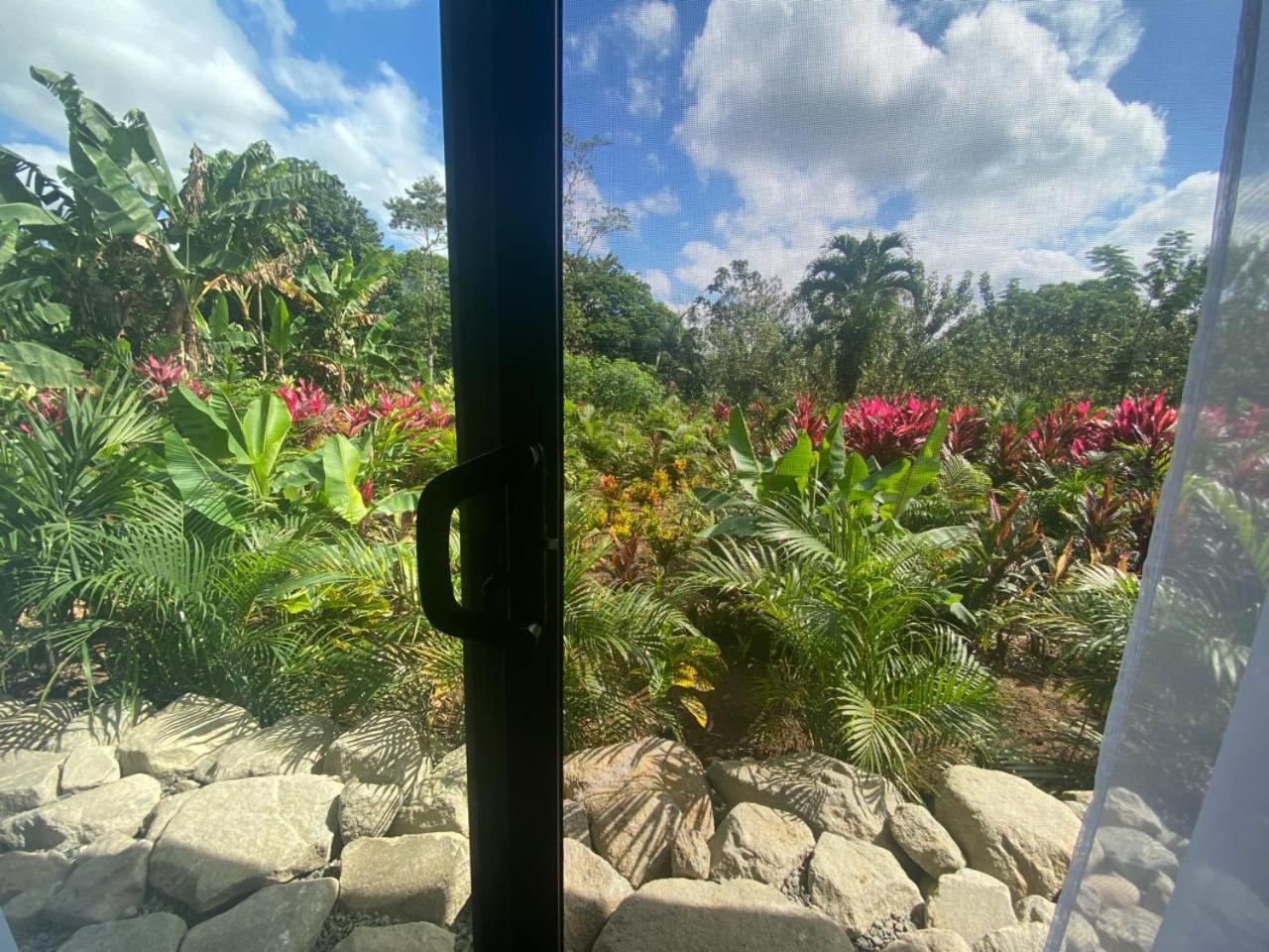 Toucan Home La Fortuna Εξωτερικό φωτογραφία