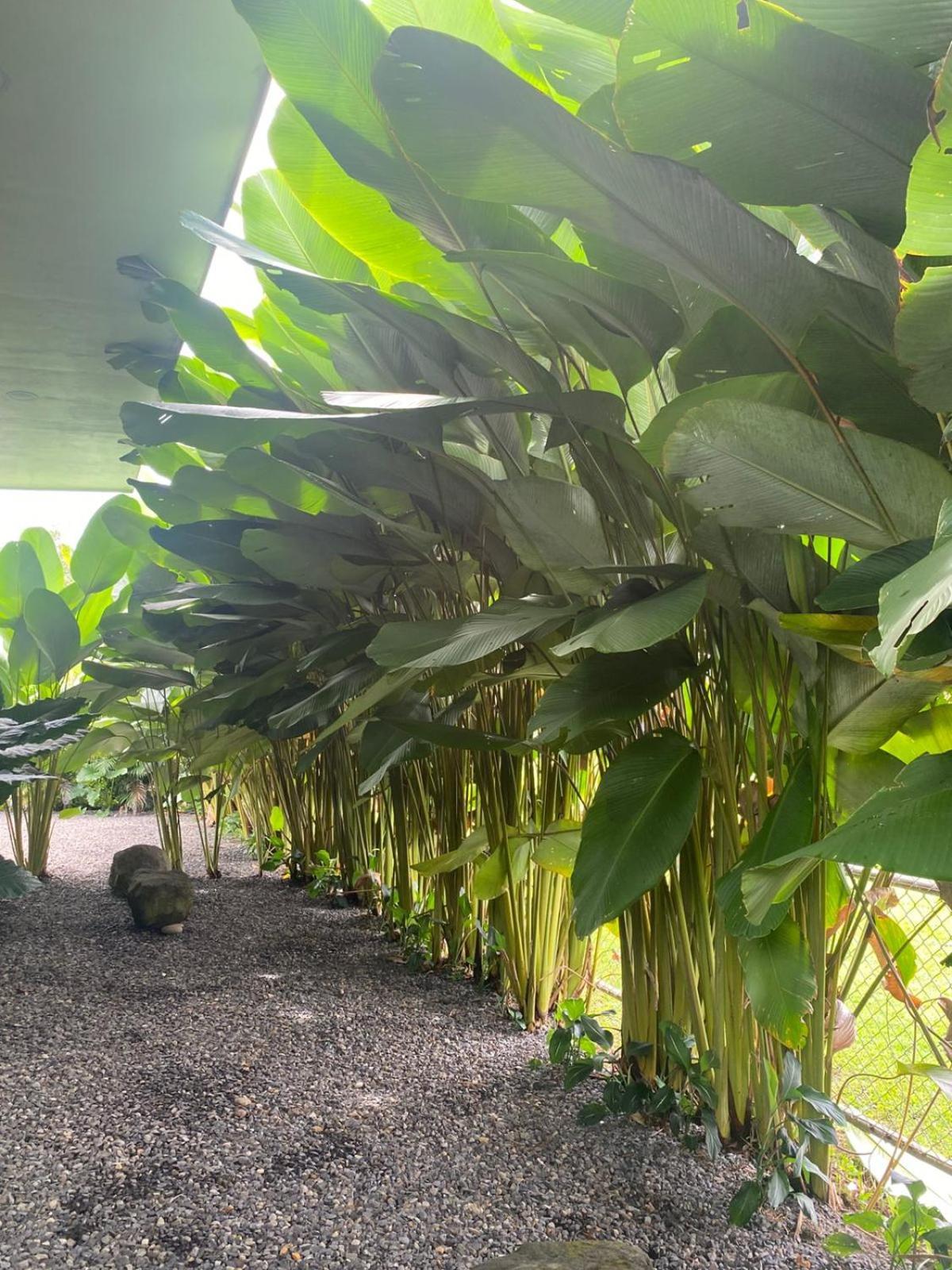 Toucan Home La Fortuna Εξωτερικό φωτογραφία