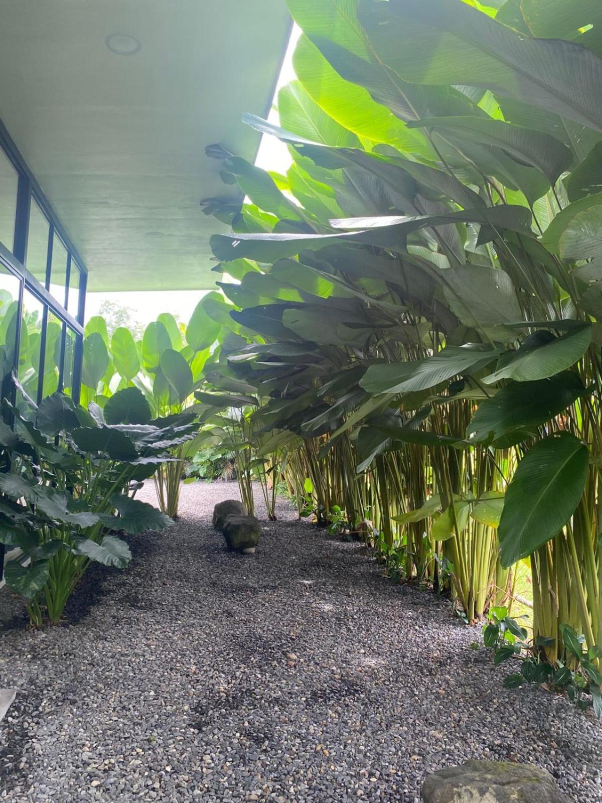 Toucan Home La Fortuna Εξωτερικό φωτογραφία