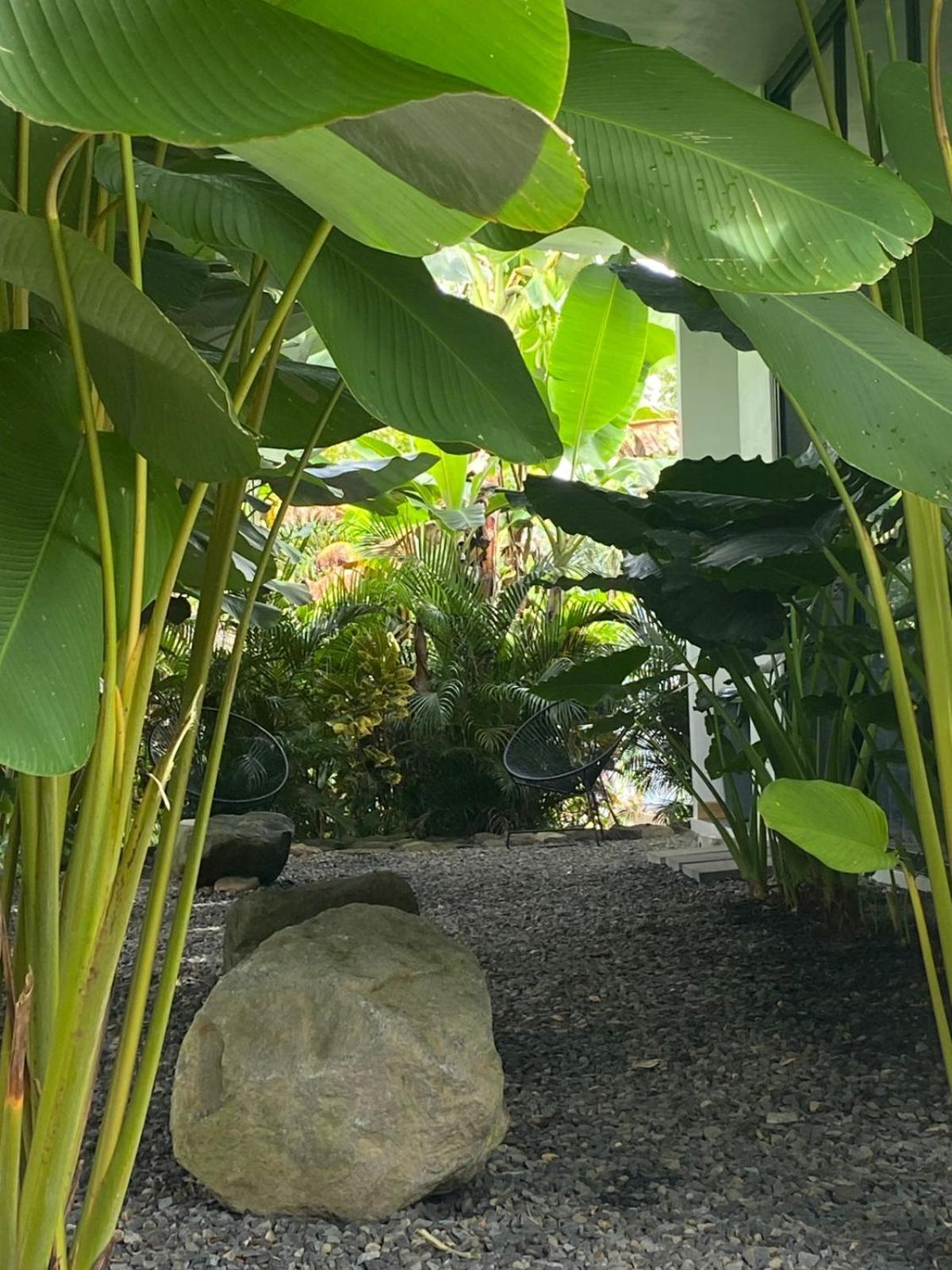 Toucan Home La Fortuna Εξωτερικό φωτογραφία
